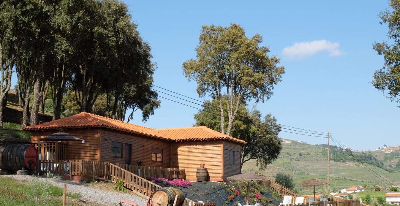 فيلا Quinta Da Bandeira - Casa De Ferias No Douro Martir المظهر الخارجي الصورة